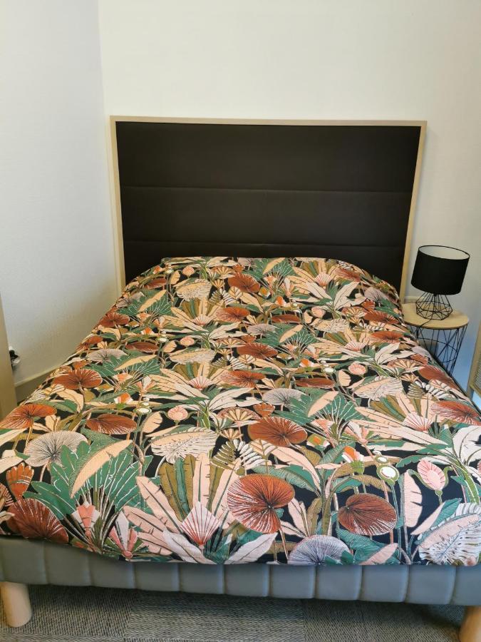 Apartament Aux Pieds Du Chateau Tournon-sur-Rhone Zewnętrze zdjęcie
